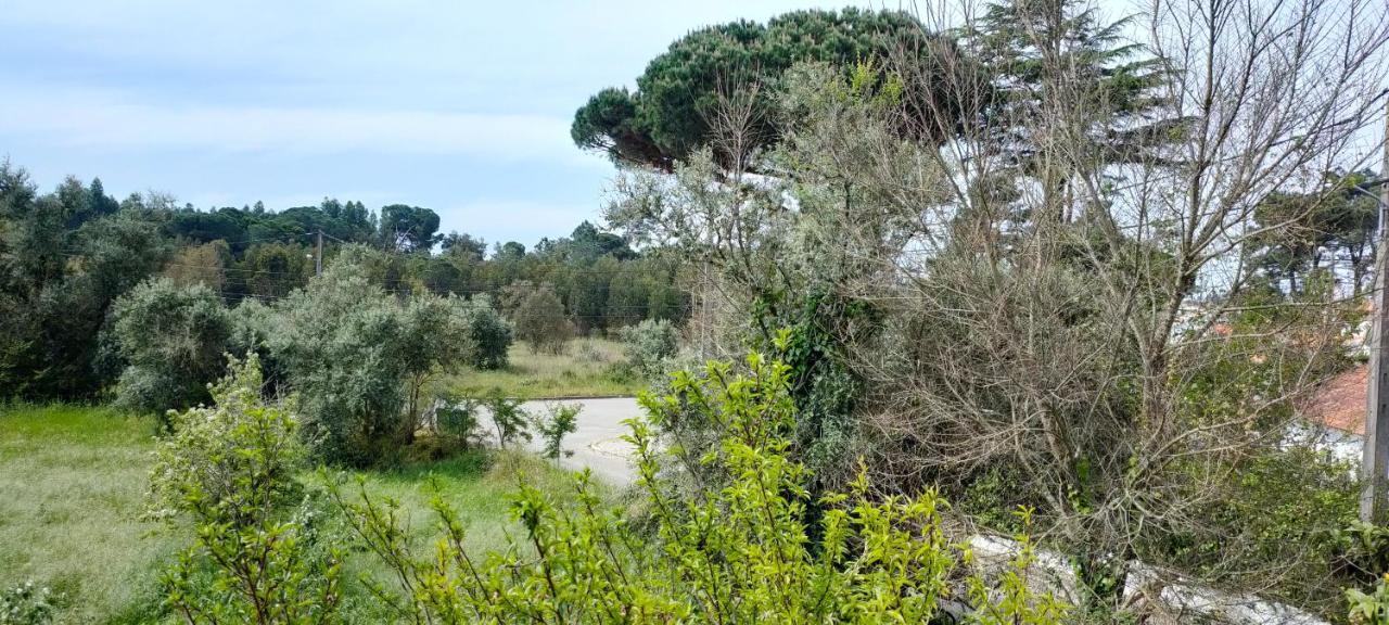 Villa Shardana B&B Sesimbra Bagian luar foto